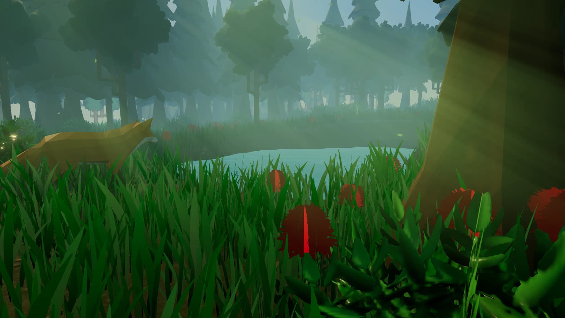 Calm & Peaceful - Media 4