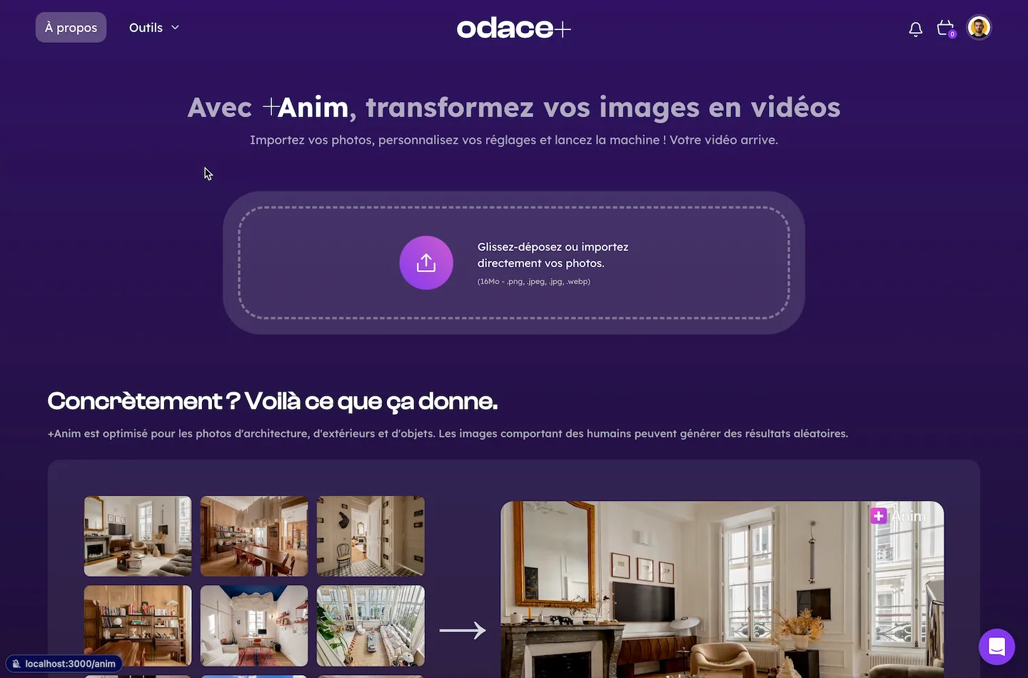 +Anim - Media 1