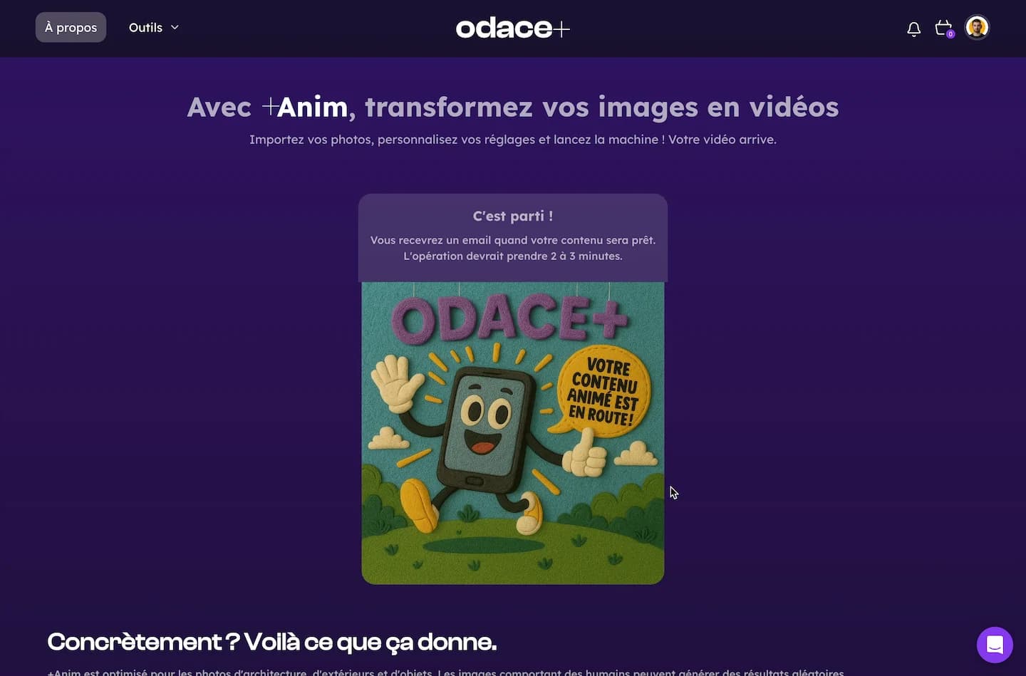+Anim - Media 3